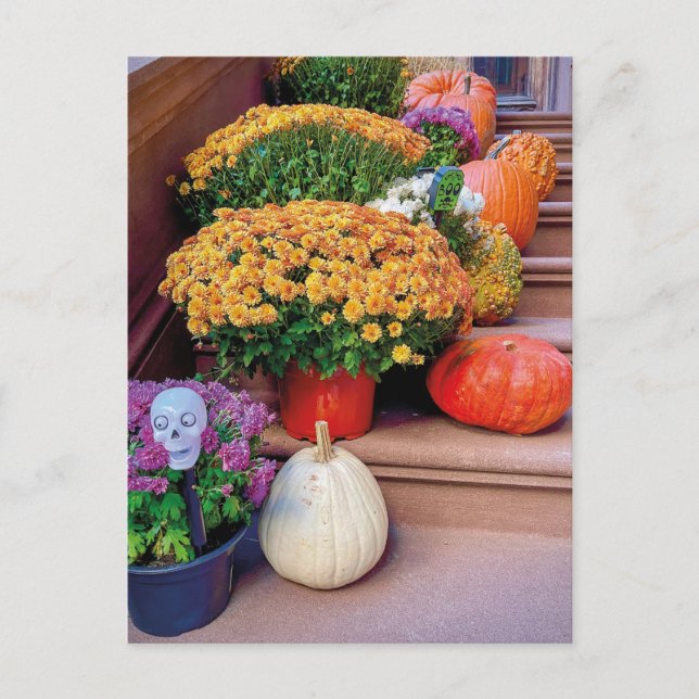 Halloween Pumpkin Trappor New York Postcard NYC Vykort (Framsida)