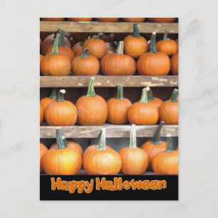 Halloween Pumpkin Wall Vykort