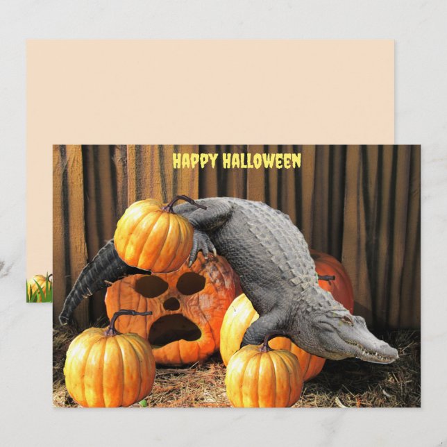 Halloween Pumpkins och Gator (Fram/baksida)