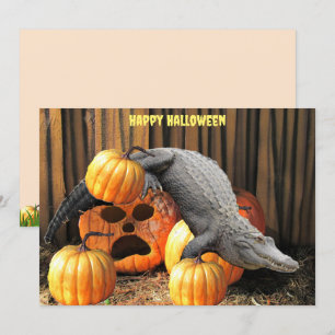 Halloween Pumpkins och Gator