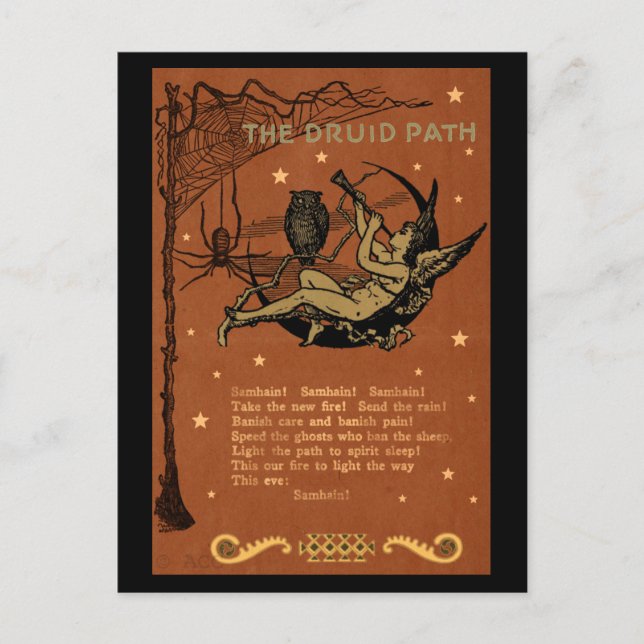 Halloween Samhain Fairy Uggla Spindelnät Vykort (Framsida)