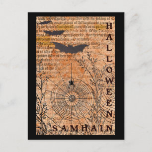 Halloween Samhain Spindelnät Vykort