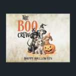 Halloween Scary Boo Hundar Crew Orange Pumpkin Vykort<br><div class="desc">Halloween Scary Boo Hundar Crew Orange Pumpkin Postcard. Unik,  vacker utformning av snyggten. Lätt att vara personlig. Teckensnittet stil,  storlekt och färg kan ändras. Matchande objekt är tillgängliga.</div>