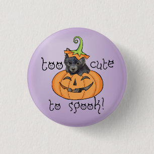 Halloween Schipperke Button Knapp