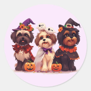 Halloween Shih Tzu Hundar Runt Klistermärke