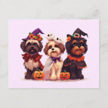 Halloween Shih Tzu Hundar