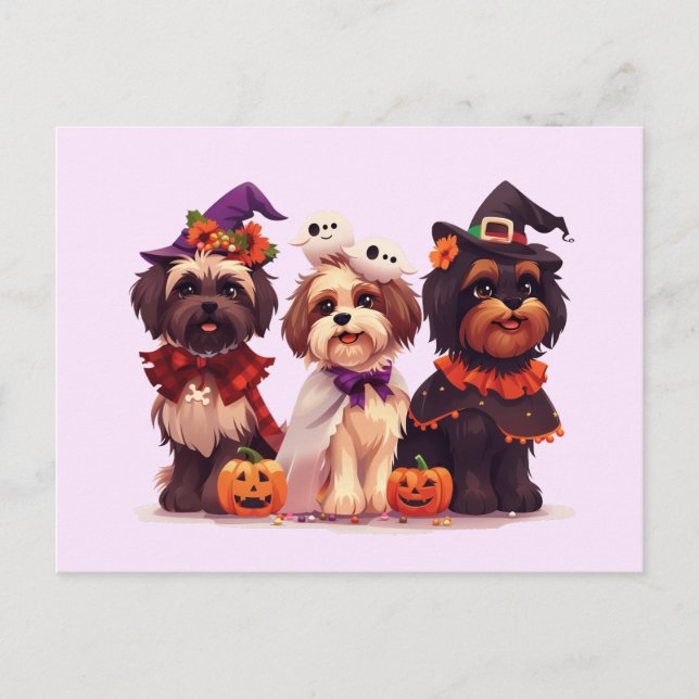 Halloween Shih Tzu Hundar Vykort (Framsida)