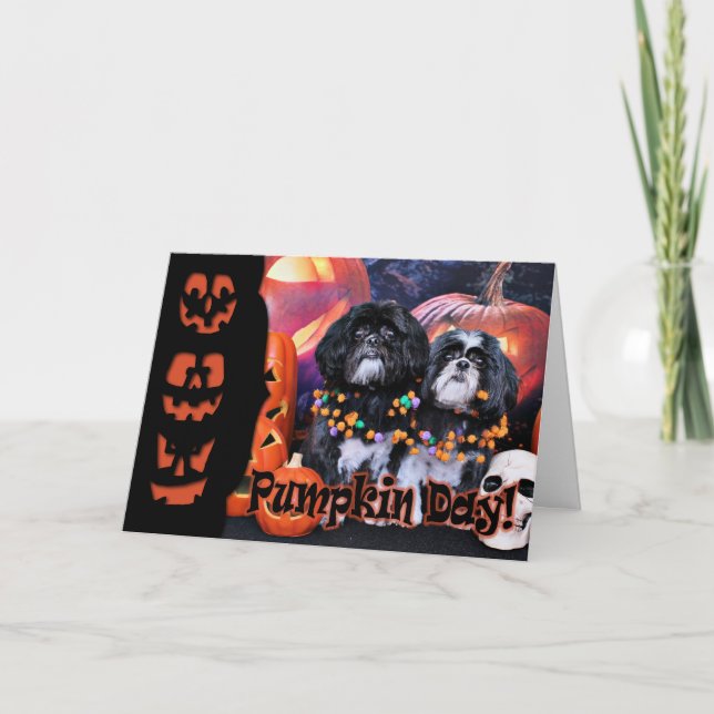 Halloween - Shih Tzu - Ruffles Riley Kort (Framsida)