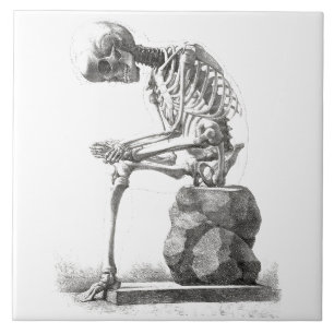 Halloween Skeleton Sitta Anatomy Kakelplatta
