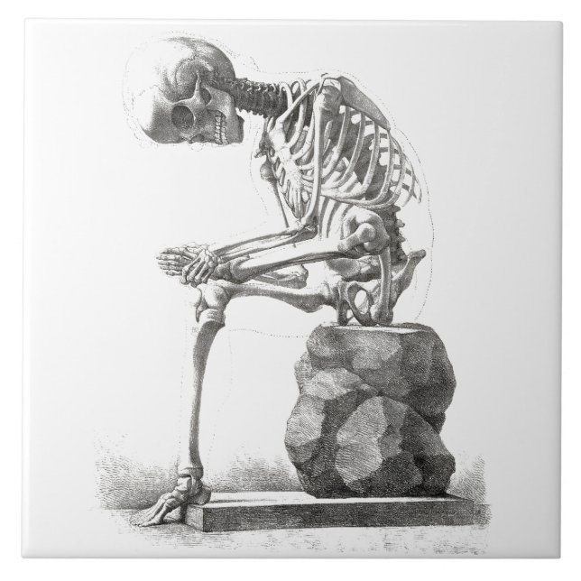 Halloween Skeleton Sitta Anatomy Kakelplatta (Framsidan)