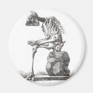 Halloween Skeleton Sitta Anatomy Magnet