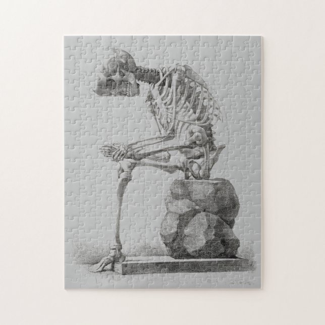 Halloween Skeleton Sitta Anatomy Pussel (Vertikal)