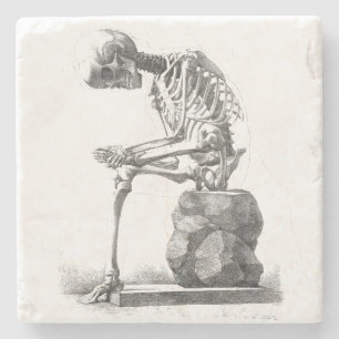 Halloween Skeleton Sitta Anatomy Stenunderlägg