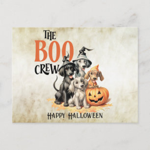 Halloween Skrämmande Boo Hundar Besättning Orange Vykort