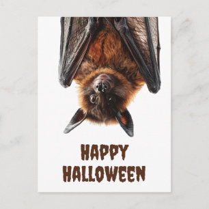 Halloween Söt Fladdermus Flygande Räv Vykort