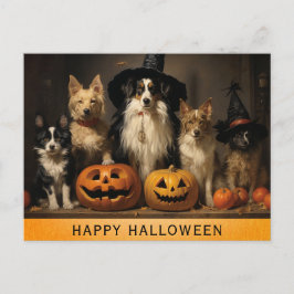 Halloween Söt Hund Häxa Pumpa Vykort