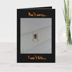 Halloween Spider Kort