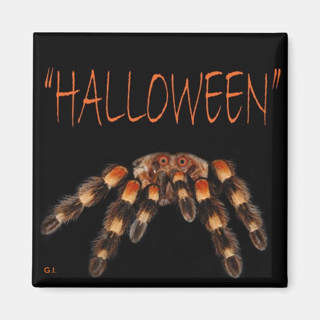 Halloween Spider Magnet (Framsidan)