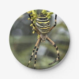Halloween Spider Papper Plate