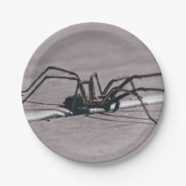 Halloween Spider Papper Plate