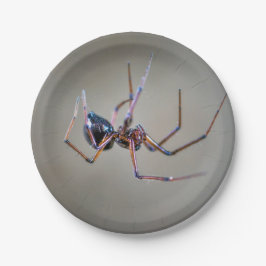 Halloween Spider Papper Plate