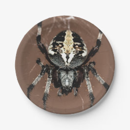 Halloween Spider Papper Plate