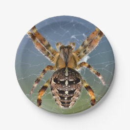 Halloween Spider Papper Plate