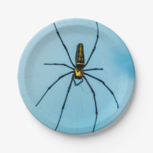 Halloween Spindel
