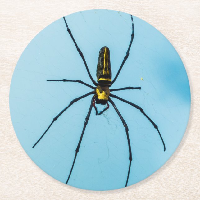 Halloween spindel  underlägg papper rund (Framsidan)