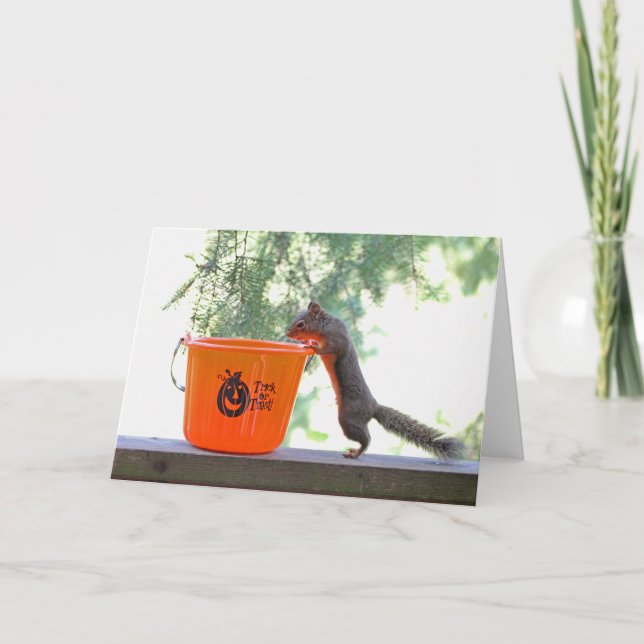 Halloween Squirrel Kort (Framsida)