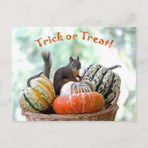 Halloween Squirrel Vykort