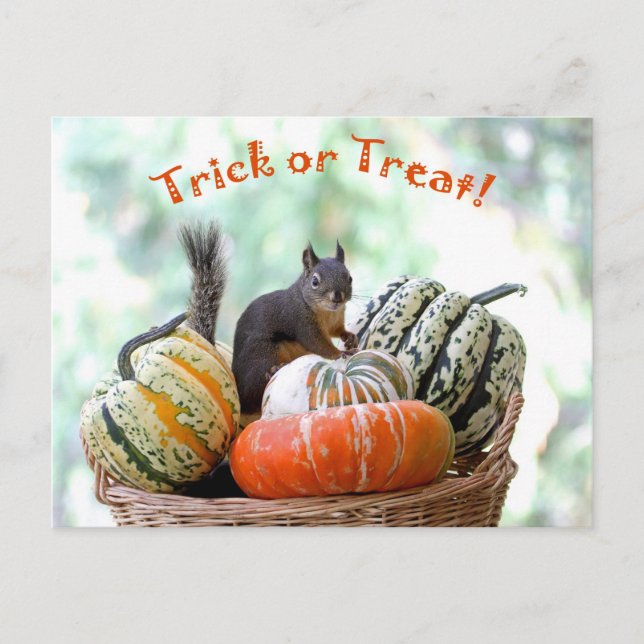 Halloween Squirrel Vykort (Framsida)