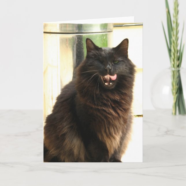 Halloween svart katt med ett öga kort (Framsida)