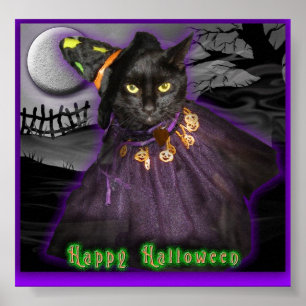 Halloween svart katt poster