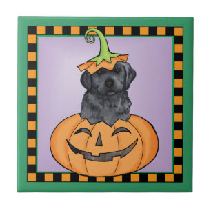 Halloween Svart lab Kakelplatta