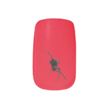 Halloween svartwidow spider på röd bakgrund