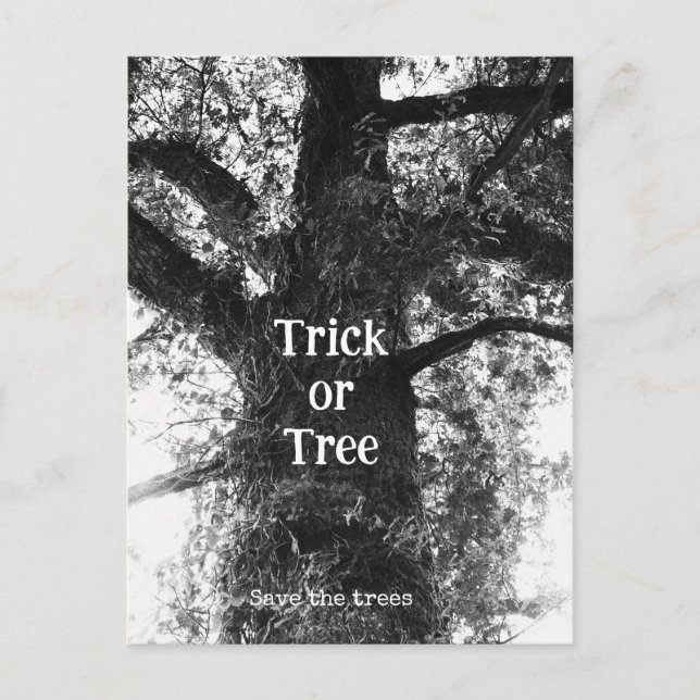 Halloween-träd Vykort (Framsida)