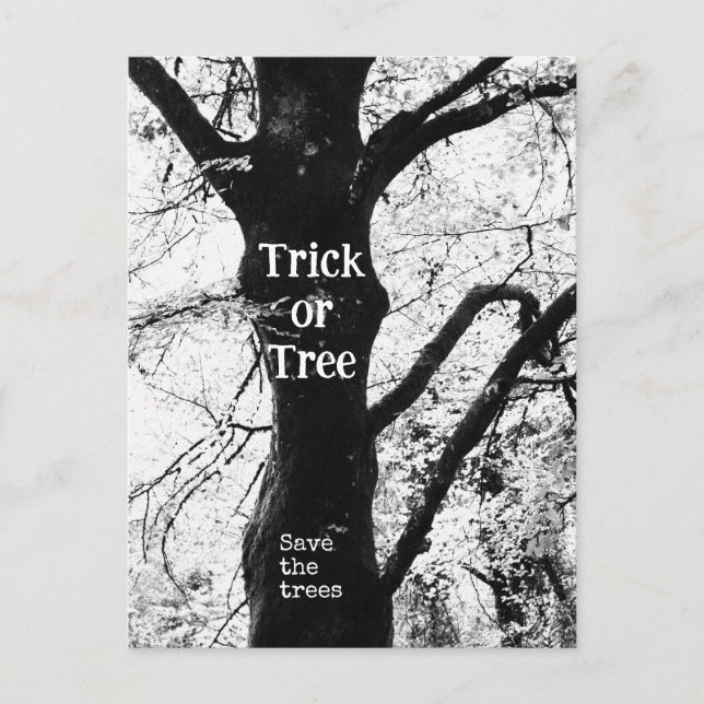 Halloween-träd Vykort (Framsida)