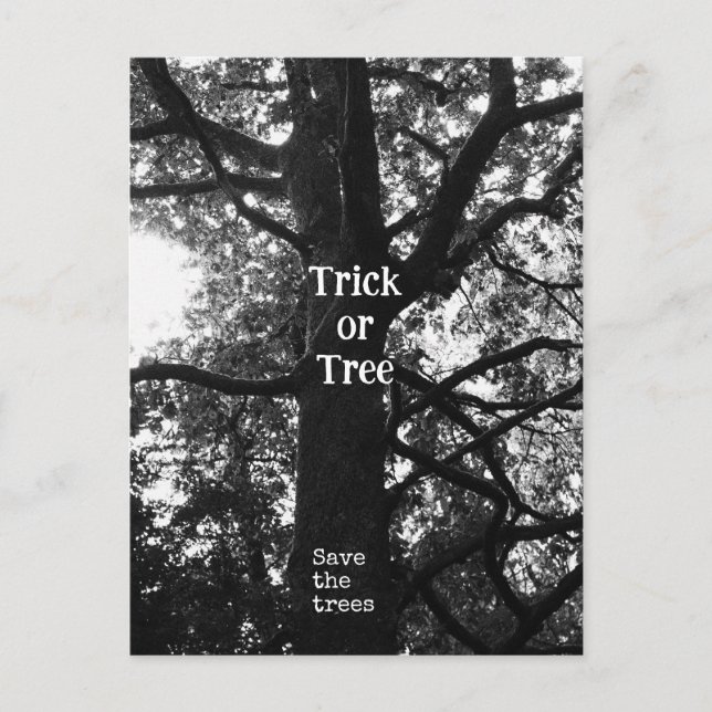 Halloween-träd Vykort (Framsida)