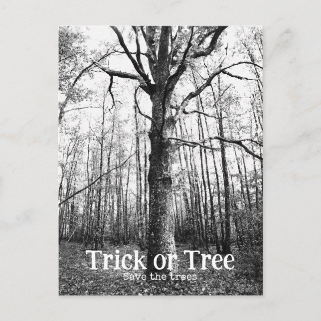 Halloween-träd Vykort (Framsida)