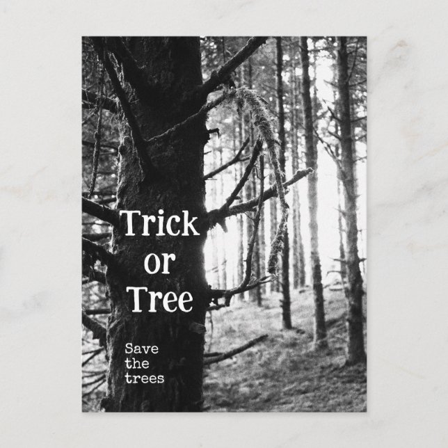 Halloween-träd Vykort (Framsida)