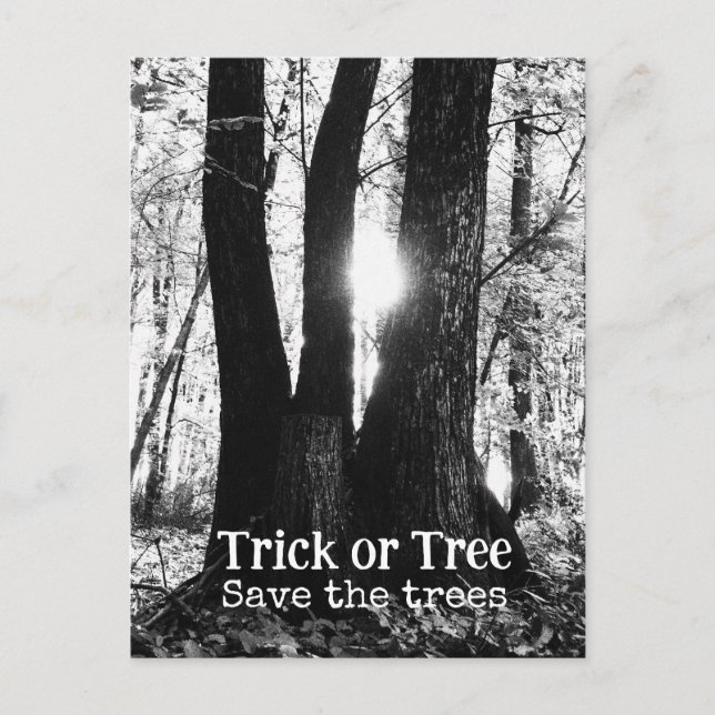 Halloween-träd Vykort (Framsida)