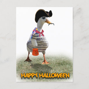 Halloween Trick eller Behandla Pirat Anka Vykort