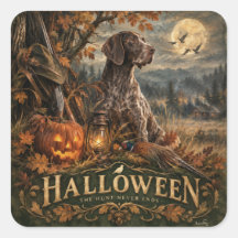 Halloween tysk korthårig pointer jakt hund