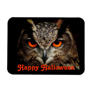 Halloween Uggla Magnet