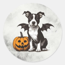 Halloween-valp