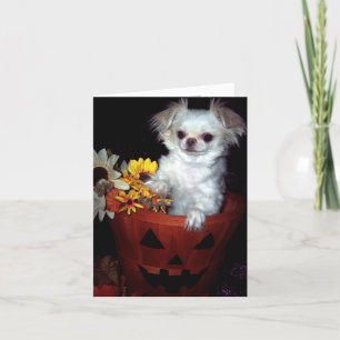 Halloween valpkort kort