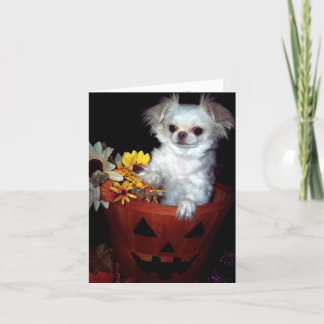 Halloween valpkort kort