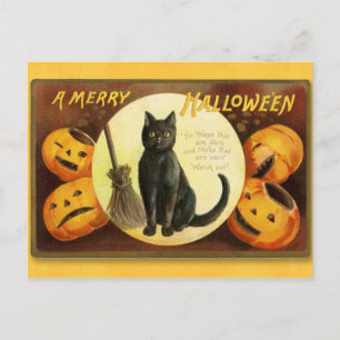 Halloween Vintage Katt och Pumpkins vykort