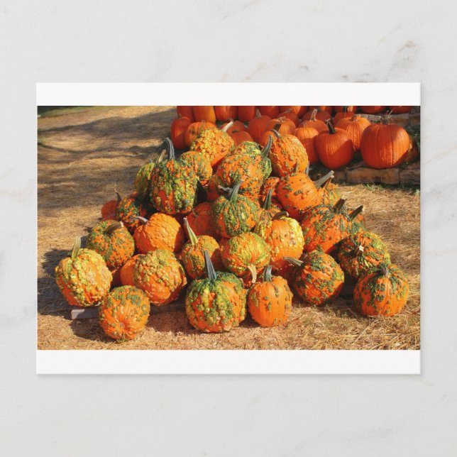 Halloween Vykort (Framsida)